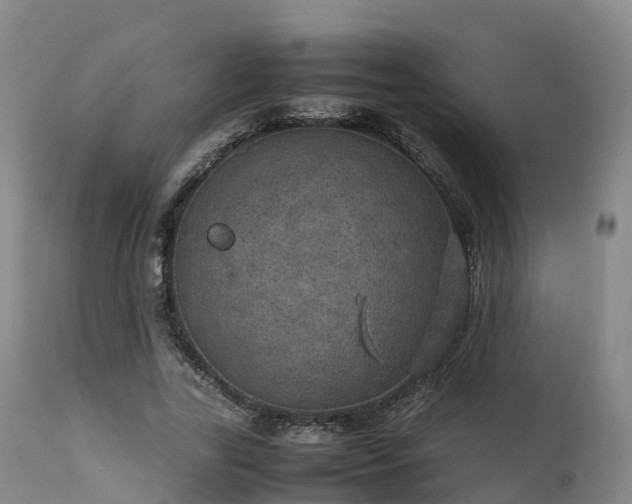 X0000111470731200907201136