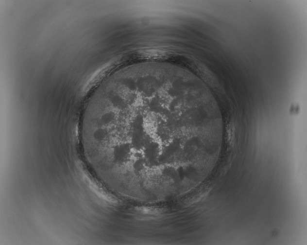 X0000111470733200907201136