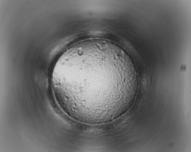 X0000111470734200907201136