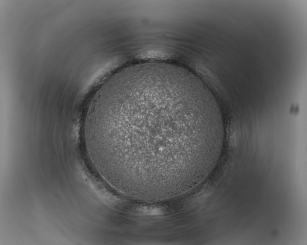 X0000111470735200907201136