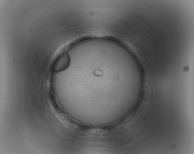 X0000111470736200907201136