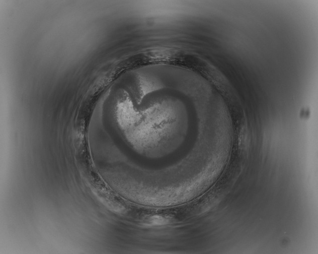 X0000111470737200907201136