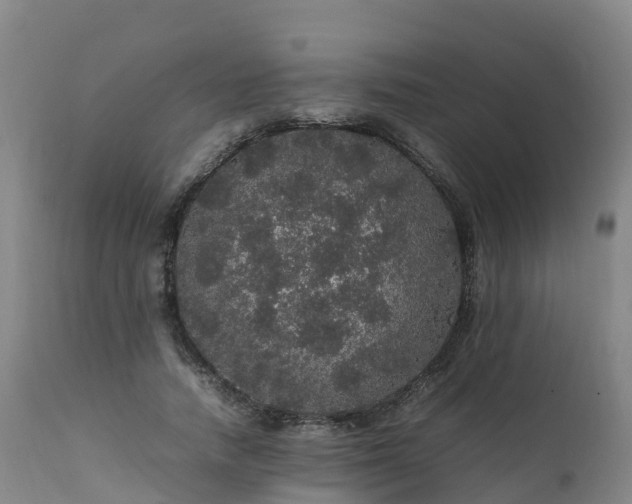 X0000111470738200907201136