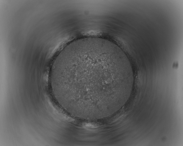 X0000111470739200907201136