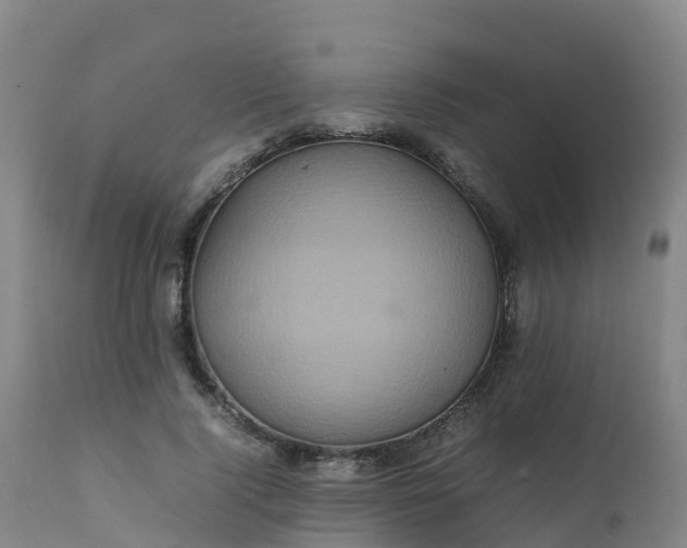 X0000111470740200907201136