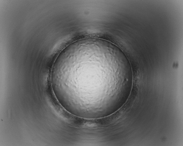 X0000111470742200907201136