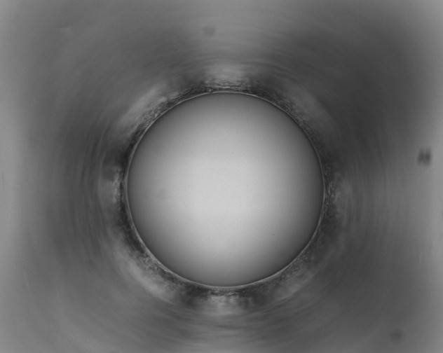 X0000111470744200907201136