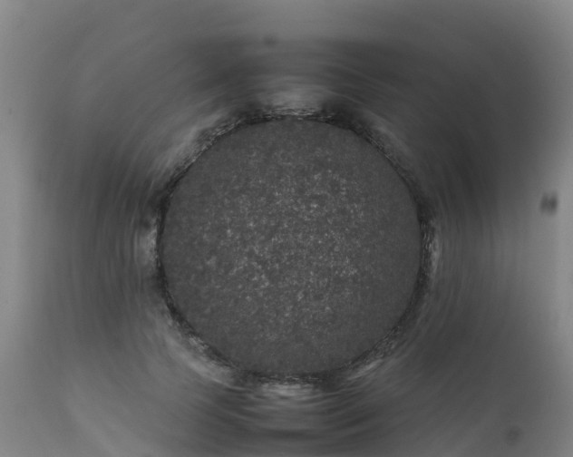 X0000111470745200907201136