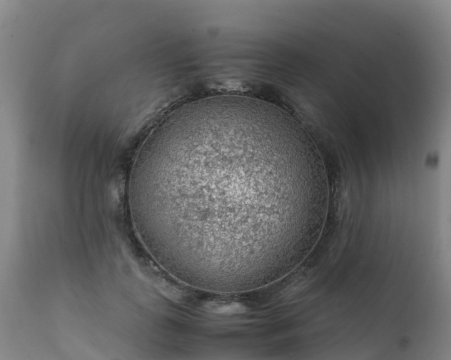 X0000111470747200907201136