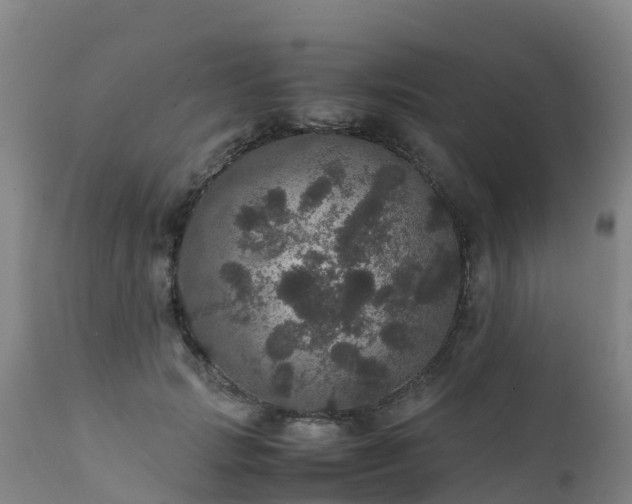 X0000111470749200907201136