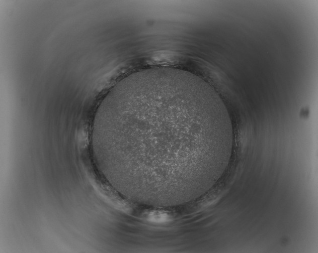 X0000111470751200907201136