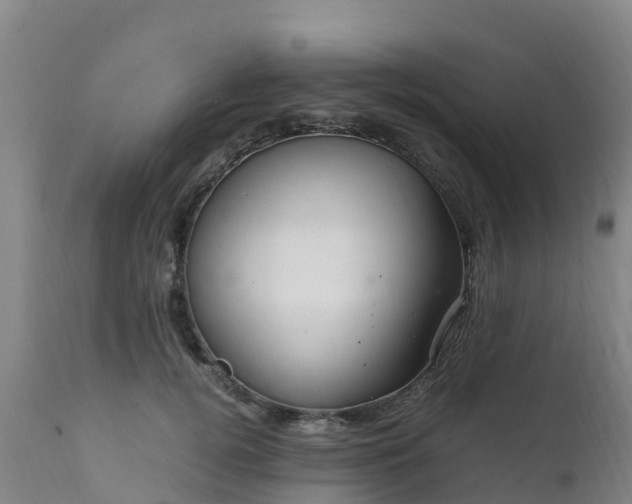 X0000111470752200907201136