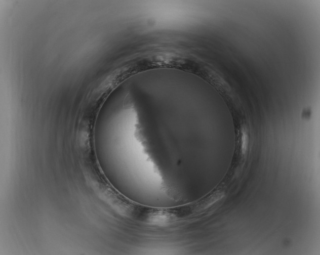 X0000111470754200907201136