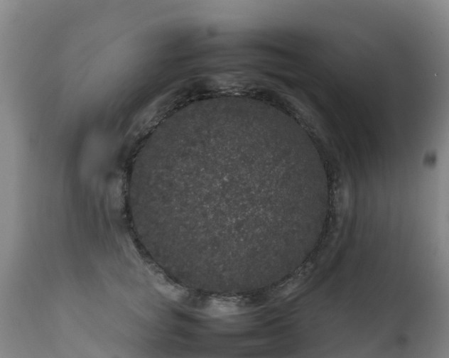 X0000111470757200907201136