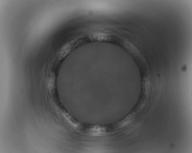 X0000111470760200907201136