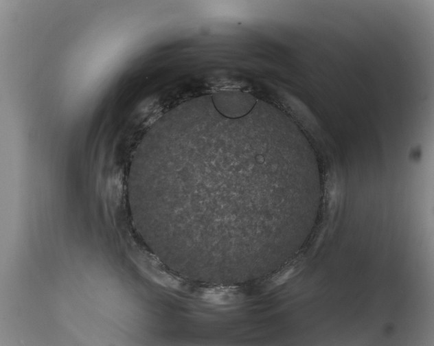 X0000111470761200907201136