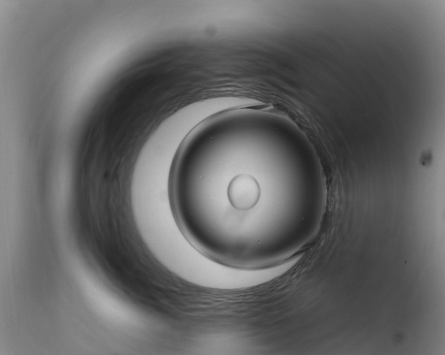 X0000111470764200907201136