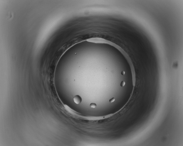 X0000111470766200907201136