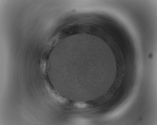 X0000111470767200907201136