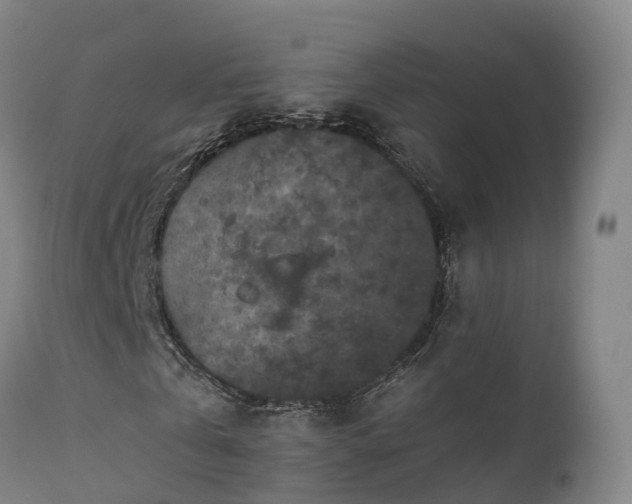 X0000111470769200907201135