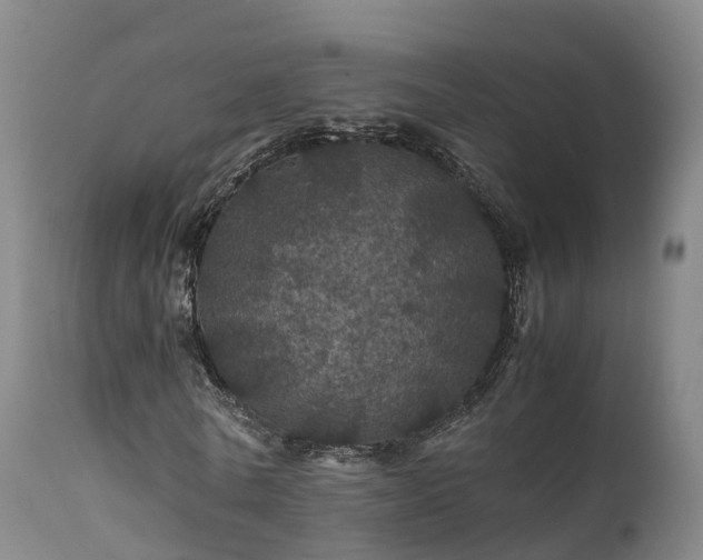 X0000111470770200907201135