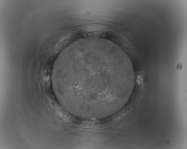 X0000111470771200907201135