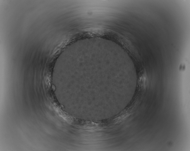 X0000111470772200907201135