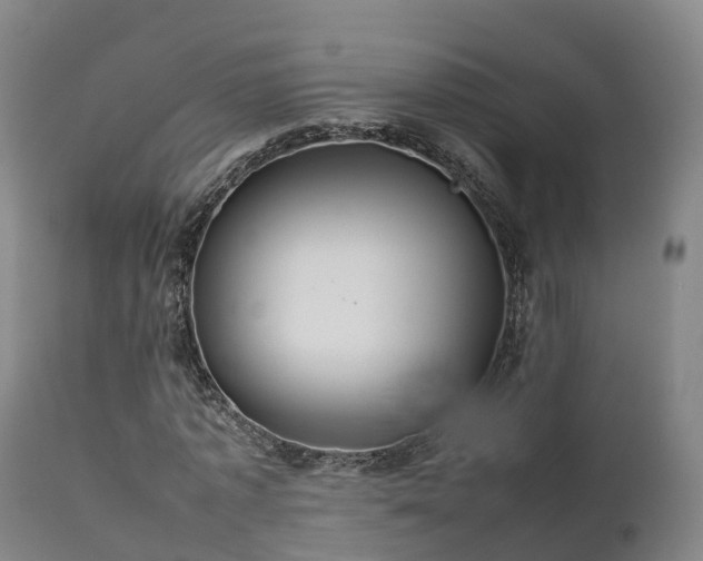 X0000111470773200907201135