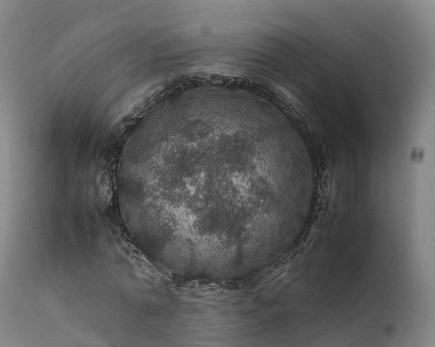 X0000111470774200907201135