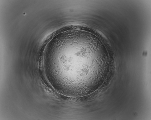 X0000111470775200907201135