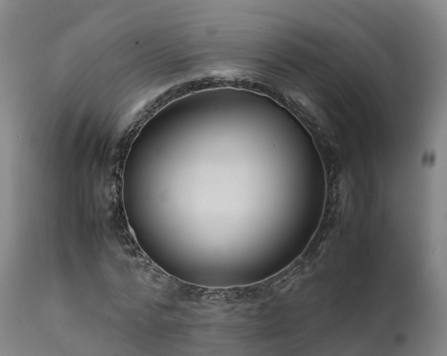 X0000111470776200907201135