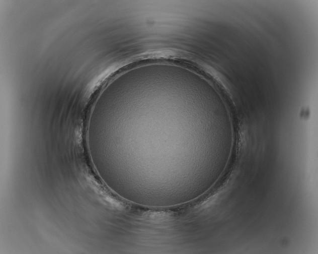 X0000111470778200907201135