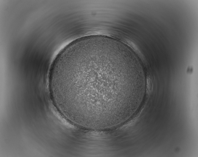 X0000111470780200907201135