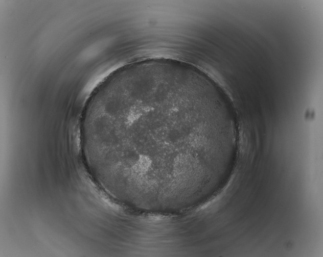 X0000111470782200907201135