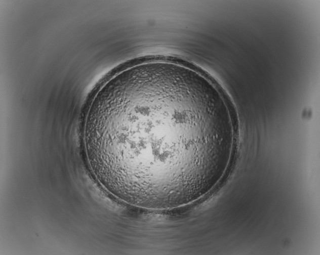 X0000111470783200907201135