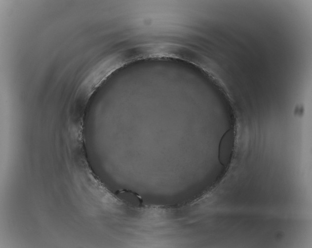 X0000111470785200907201135