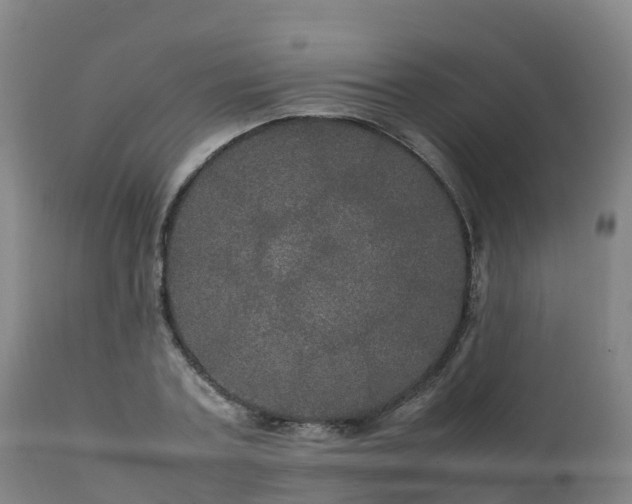 X0000111470787200907201135