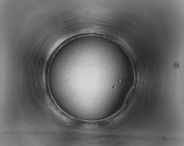 X0000111470788200907201135