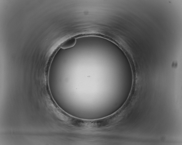 X0000111470789200907201135