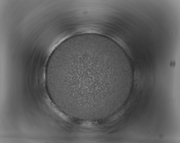 X0000111470790200907201135