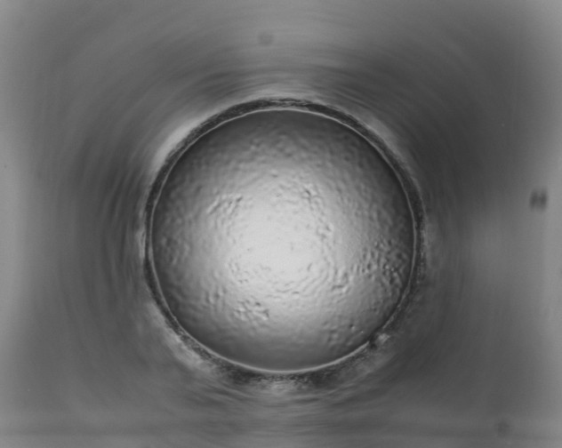 X0000111470791200907201135