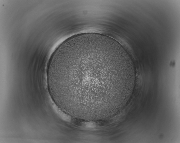 X0000111470792200907201135