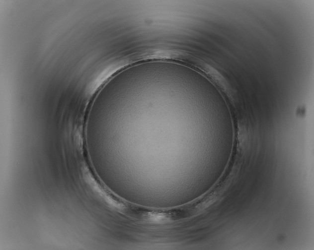 X0000111470794200907201135