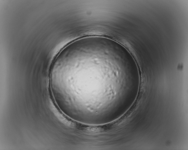 X0000111470795200907201135