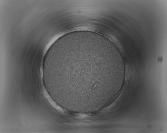 X0000111470796200907201135