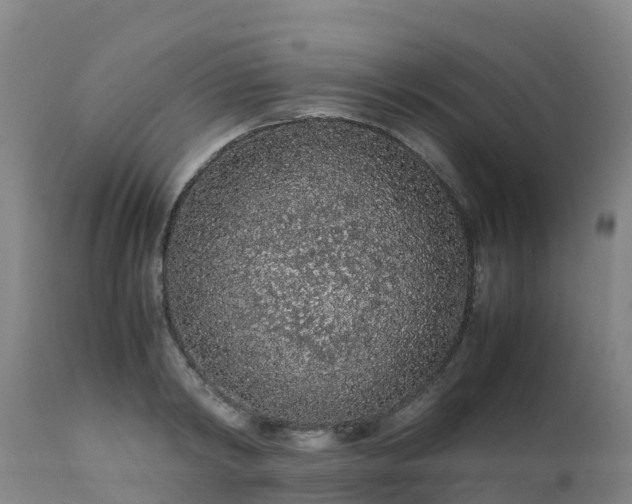 X0000111470798200907201135