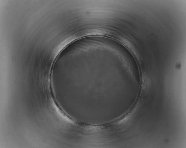 X0000111470802200907201135