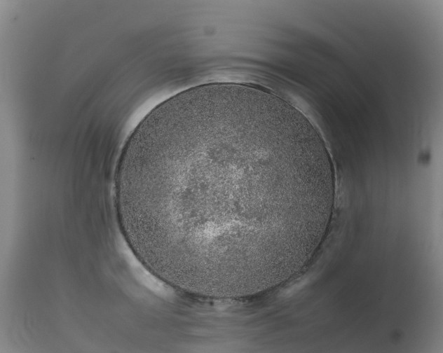 X0000111470803200907201135