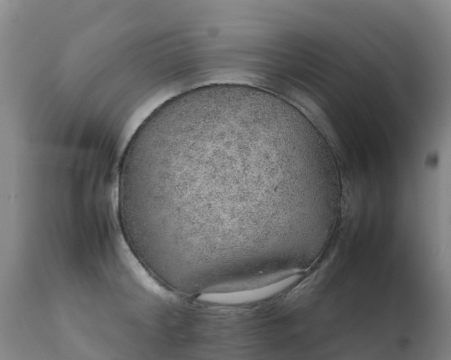 X0000111470804200907201135