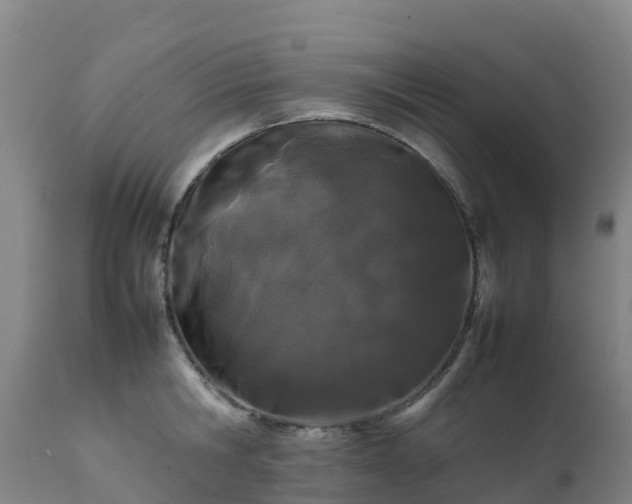 X0000111470806200907201135